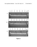 Reagents and methods for detecting HCV diagram and image