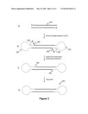 COMPOSITIONS AND METHODS FOR SELECTION OF NUCLEIC ACIDS diagram and image