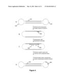 COMPOSITIONS AND METHODS FOR SELECTION OF NUCLEIC ACIDS diagram and image