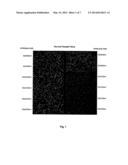 Direct Molecular Diagnosis of Fetal Aneuploidy diagram and image