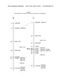 METHODS FOR MAKING PLANTS RESISTANT TO FUNGAL PATHOGENS diagram and image