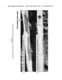 METHODS FOR MAKING PLANTS RESISTANT TO FUNGAL PATHOGENS diagram and image