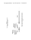 METHODS FOR MAKING PLANTS RESISTANT TO FUNGAL PATHOGENS diagram and image