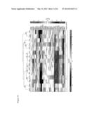 RNAi-Based Method of Drug Screening and Characterization diagram and image