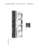 RNAi-Based Method of Drug Screening and Characterization diagram and image