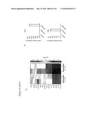 RNAi-Based Method of Drug Screening and Characterization diagram and image