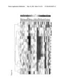 RNAi-Based Method of Drug Screening and Characterization diagram and image