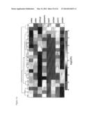 RNAi-Based Method of Drug Screening and Characterization diagram and image