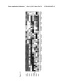 RNAi-Based Method of Drug Screening and Characterization diagram and image