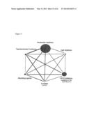 RNAi-Based Method of Drug Screening and Characterization diagram and image