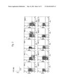 METHOD FOR TREATMENT OF BLOOD TUMOR USING ANTI-TIM-3 ANTIBODY diagram and image