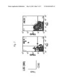 METHOD FOR TREATMENT OF BLOOD TUMOR USING ANTI-TIM-3 ANTIBODY diagram and image