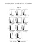 METHOD FOR TREATMENT OF BLOOD TUMOR USING ANTI-TIM-3 ANTIBODY diagram and image