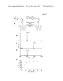 Characterization of biochips containing self-assembled monolayers diagram and image