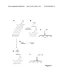 Characterization of biochips containing self-assembled monolayers diagram and image