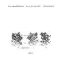 NOVEL CRYSTAL STRUCTURE AND LIGAND BINDING SITES OF TRAIL RECEPTOR diagram and image