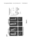 GENETICALLY MODIFIED NON-HUMAN ANIMALS AND METHODS OF USE THEREOF diagram and image