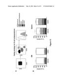 GENETICALLY MODIFIED NON-HUMAN ANIMALS AND METHODS OF USE THEREOF diagram and image