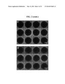 COMPOSITIONS AND METHODS FOR THE DETECTION OF ZINC diagram and image