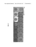 COMPOSITIONS AND METHODS FOR THE DETECTION OF ZINC diagram and image