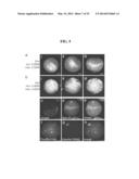 COMPOSITIONS AND METHODS FOR THE DETECTION OF ZINC diagram and image