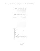 METHOD TO INCREASE ALGAL BIOMASS AND ENHANCE ITS QUALITY FOR THE     PRODUCTION OF FUEL diagram and image