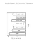 MULTIPLE-ENZYME NANOCOMPLEXES diagram and image