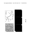 MULTIPLE-ENZYME NANOCOMPLEXES diagram and image