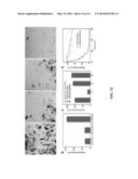 MULTIPLE-ENZYME NANOCOMPLEXES diagram and image