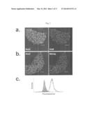 Simplified Compositions and Methods for Generating Neural Stem Cells From     Human Pluripotent Stem Cells diagram and image