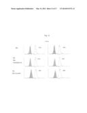 Simplified Compositions and Methods for Generating Neural Stem Cells From     Human Pluripotent Stem Cells diagram and image