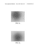 CELL CULTURE SYSTEM AND SERUM-FREE METHOD FOR CULTIVATING CELLS diagram and image