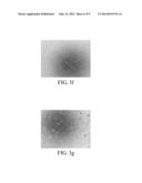 CELL CULTURE SYSTEM AND SERUM-FREE METHOD FOR CULTIVATING CELLS diagram and image