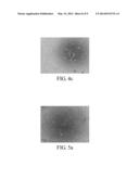 CELL CULTURE SYSTEM AND SERUM-FREE METHOD FOR CULTIVATING CELLS diagram and image