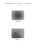 CELL CULTURE SYSTEM AND SERUM-FREE METHOD FOR CULTIVATING CELLS diagram and image