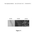 Method and System for Automated Image Analysis in Cancer Cells diagram and image