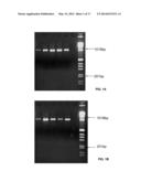 Population Scale HLA-Typing and Uses Thereof diagram and image