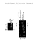 TREATMENT OF EXTRACELLULAR MATRIX TO REDUCE INFLAMMATION diagram and image