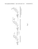 Novel Ginsenoside With Anti-cancer Activity And The Preparation Method     Thereof diagram and image