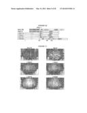 ENDOGENOUS RETROVIRUS POLYPEPTIDES LINKED TO ONCOGENIC TRANSFORMATION diagram and image