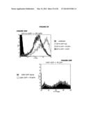 ENDOGENOUS RETROVIRUS POLYPEPTIDES LINKED TO ONCOGENIC TRANSFORMATION diagram and image