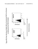 ANTIBODIES FOR BINDING TO NON-FUNCTIONAL P2X7 RECEPTORS IN TRIMERIC FORM diagram and image