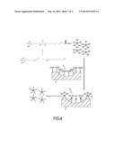 MATERIAL FOR SUPPORTED SYNTHESIS AND METHOD FOR GROWING OLIGONUCLEOTIDES     OR PEPTIDES diagram and image