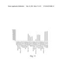 Compositions and Methods for the Therapy and Diagnosis of Influenza diagram and image