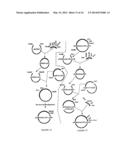 HUMANIZED MONOCLONAL ANTIBODIES THAT PROTECT AGAINST SHIGA TOXIN INDUCED     DISEASE diagram and image