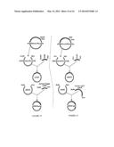 HUMANIZED MONOCLONAL ANTIBODIES THAT PROTECT AGAINST SHIGA TOXIN INDUCED     DISEASE diagram and image