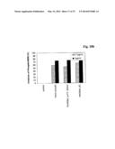 Bispecific Anti ErbB3 / Anti cMet Antibodies diagram and image