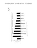 Bispecific Anti ErbB3 / Anti cMet Antibodies diagram and image