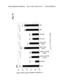 Bispecific Anti ErbB3 / Anti cMet Antibodies diagram and image