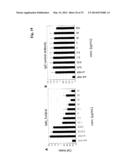 Bispecific Anti ErbB3 / Anti cMet Antibodies diagram and image